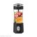 آبمیوه‌گیری قابل حمل Green Lion Blend Mate
